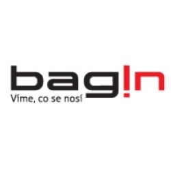 Bagin