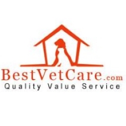 Best Vet Care