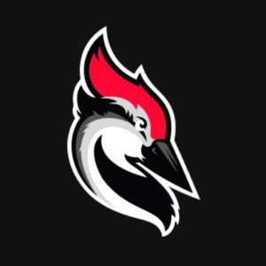 WoodPecker.co