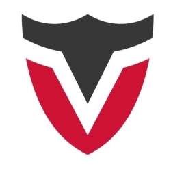 Viro Inc